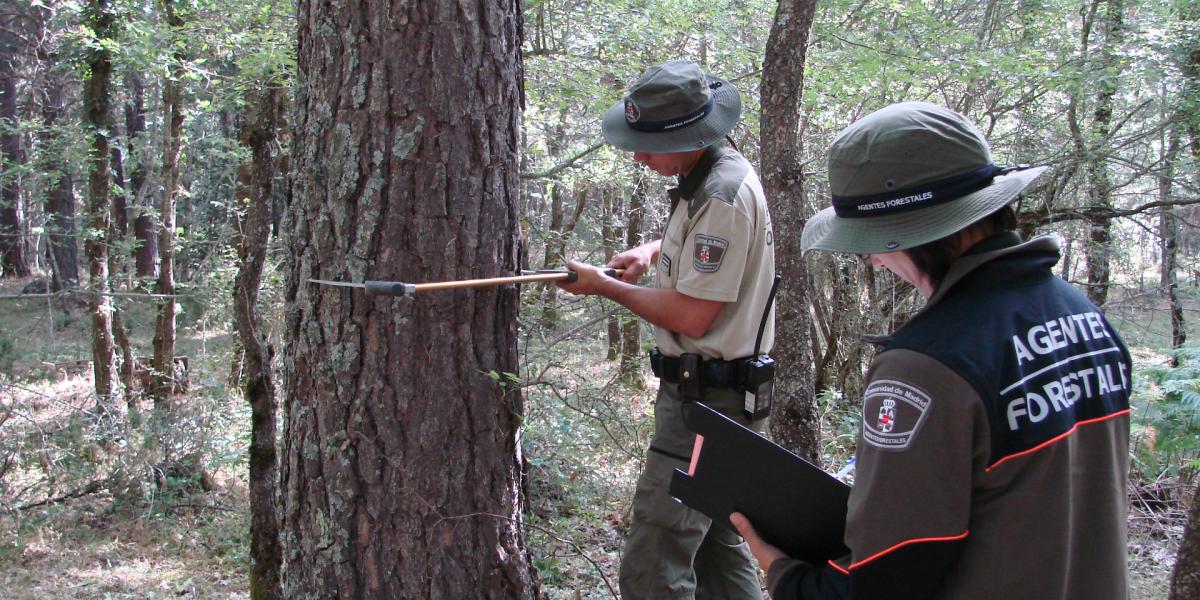 Agentes forestales / Foto: Comunidad de Madrid